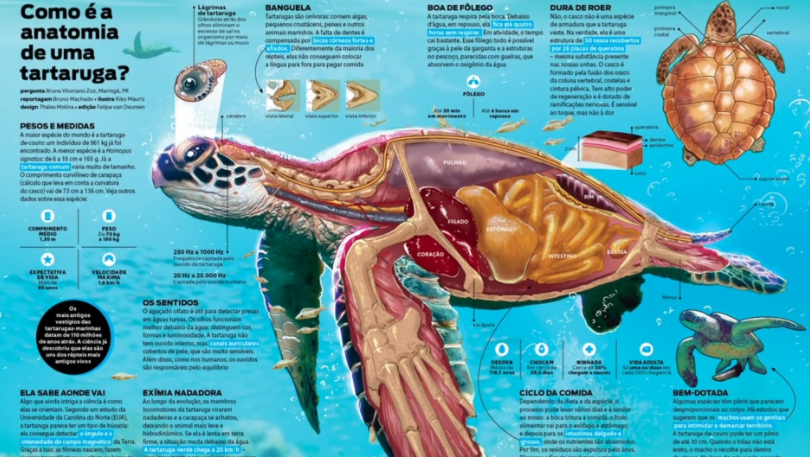 Без имени.png