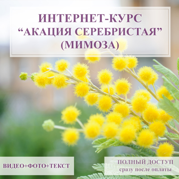 Без имени.png