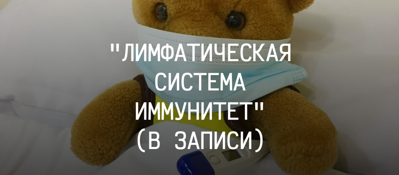 Без имени.png