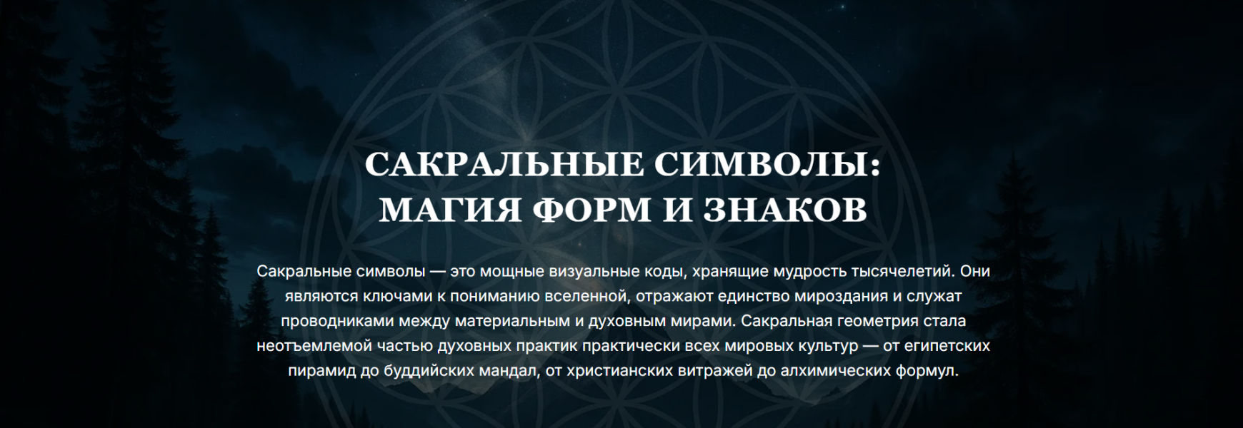 Без имени.png