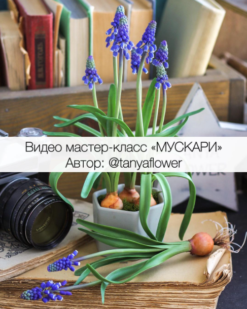 Без имени.png