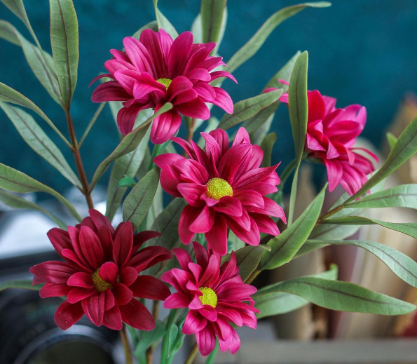 Без имени.png