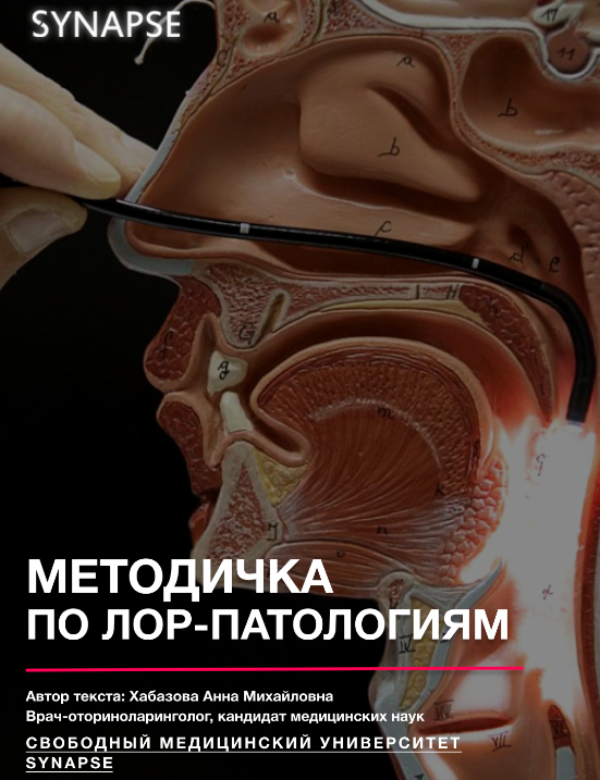 Без имени.png