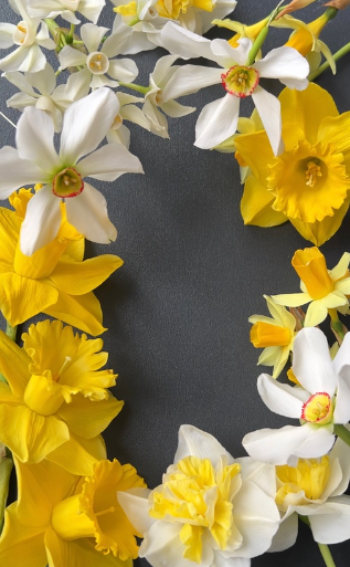 Без имени.png