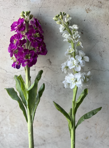 Без имени.png