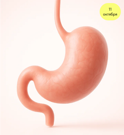 FireShot Capture 012.png