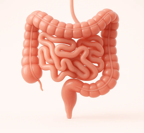 FireShot Capture 016.png