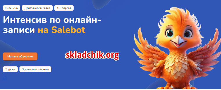 Monosnap Интенсив по онлайн-записи на Salebot — Пр.png