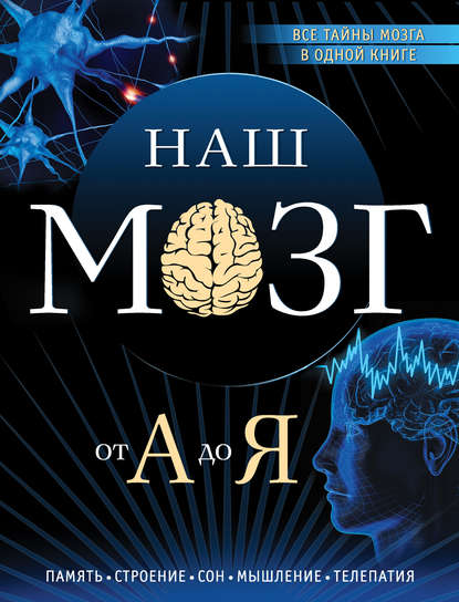 Наш мозг от А до Я.jpg