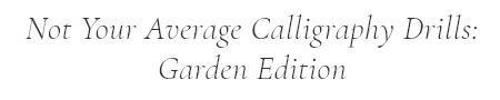 Not Your Average Calligraphy Drills - Garden Edition.png