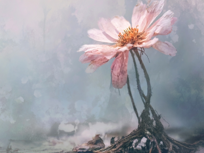 Проблемы в репродуктивной сфере.jpg