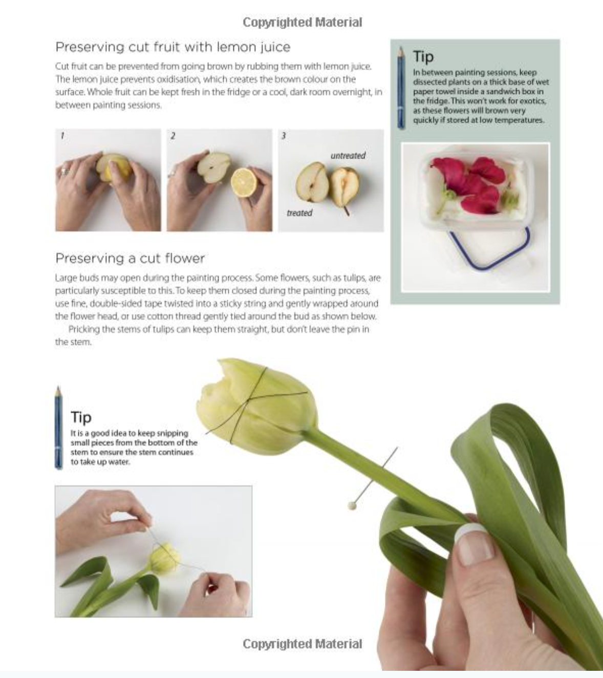 Screen Shot 2016-08-22 at 10.04.20.png