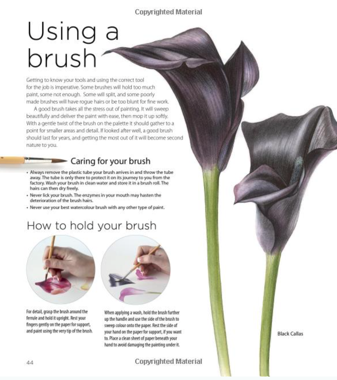 Screen Shot 2016-08-22 at 10.04.59.png