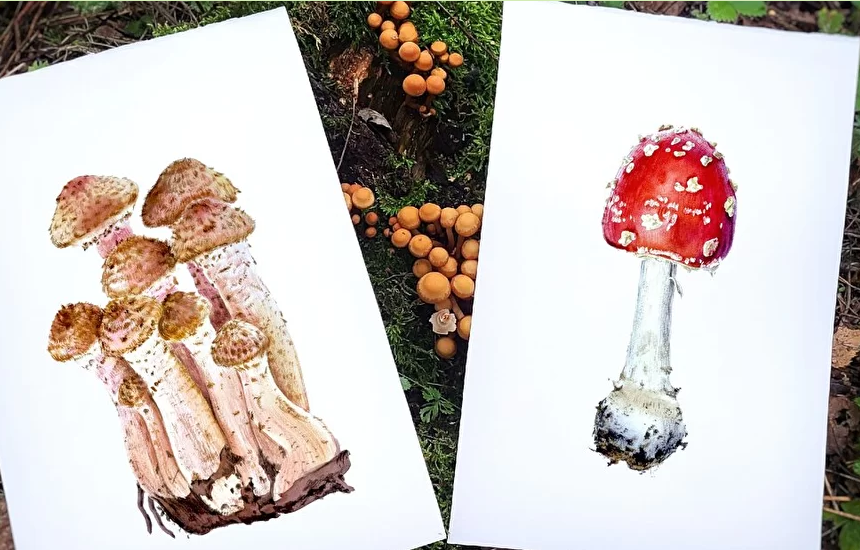 Screenshot 2021-09-18 at 17-33-04 Онлайн курс Грибы .png