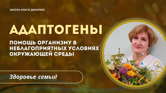 Screenshot 2025-09-21 at 21-35-23 Школа семейного траволечения Ольги Данилюк.png
