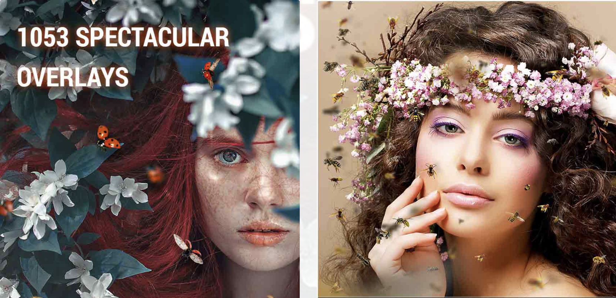 Снимок экрана 2017-12-09 в 14.41.55.png