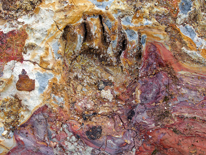 уликовая парадигма.jpg