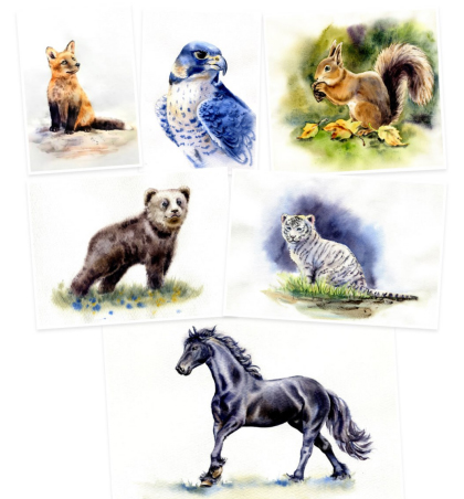 в мире животных.jpg