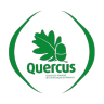 Quercus